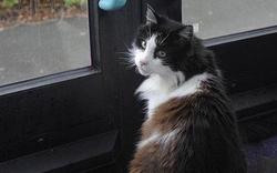 Casper_1452757c.jpg